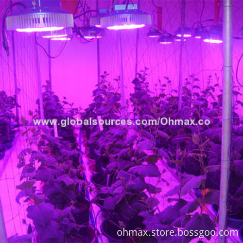 UFO LED grow lights, grow lamps for greenhouse, indoor, plant tissue culture & hydroponic